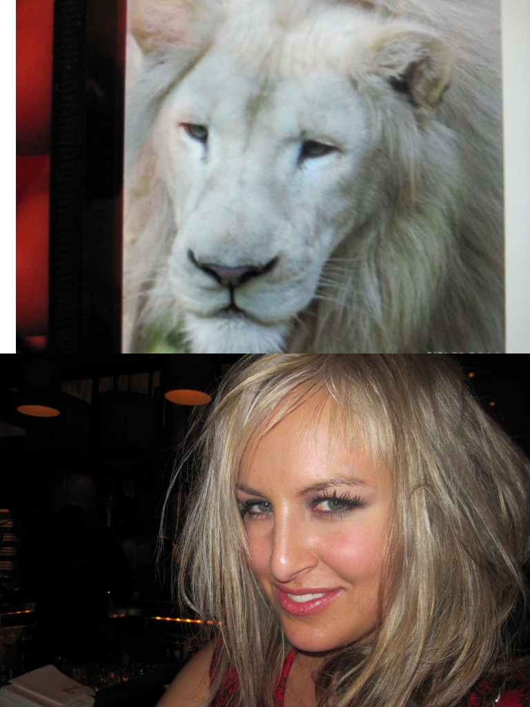 marissa-lion